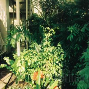 Photograph taken before 2009