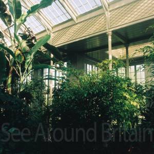 Photograph taken before 2009