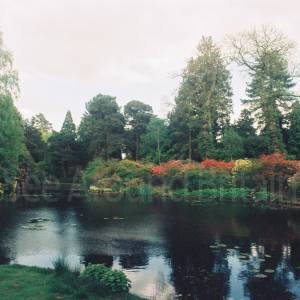 Taken before 2009