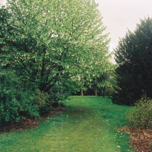 Taken before 2009