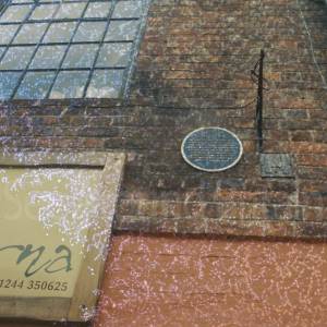 Photograph taken before 2009