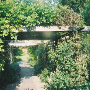 Taken before 2009