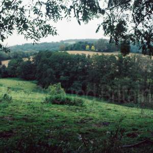 “taken before 2009”