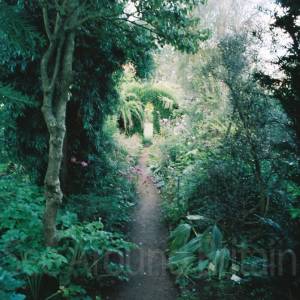 “taken before 2009”