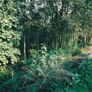 “taken before 2009”