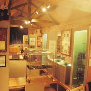 Photograph taken before 2009