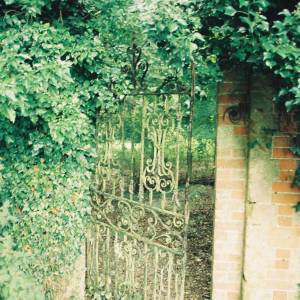 “taken before 2009”