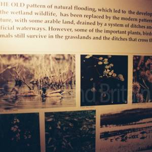 Photograph taken before 2009