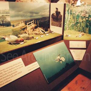 Photograph taken before 2009