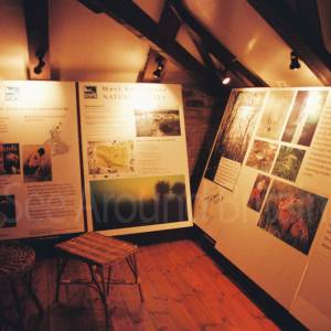 Photograph taken before 2009