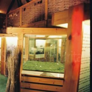 Photograph taken before 2009