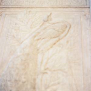 “taken before 2009”