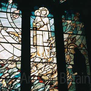 “taken before 2009”