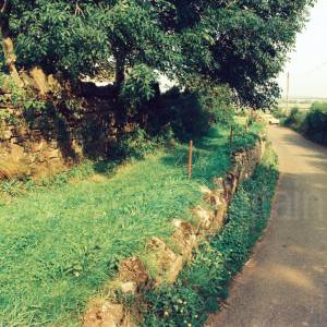 “taken before 2009”