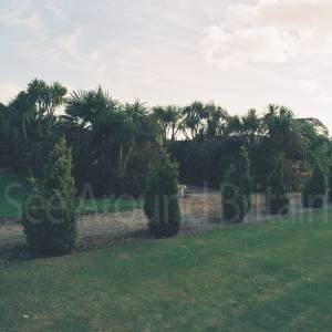 “taken before 2009”