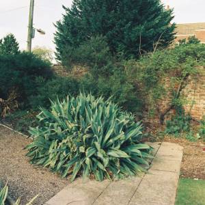 “taken before 2009”