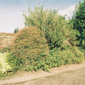 “taken before 2009”