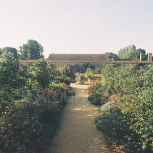 Taken before 2009