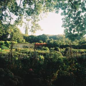 Taken before 2009