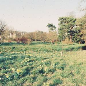 Photograph taken before 2009