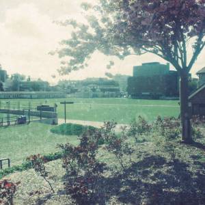 Taken before 2009
