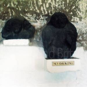 “taken before 2009”