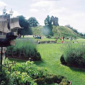 “taken before 2009”