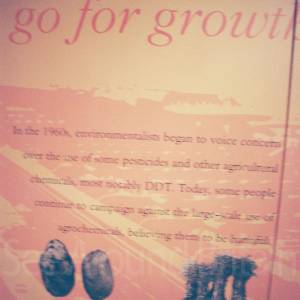 Photograph taken before 2009