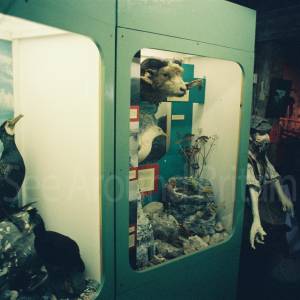 Photograph taken before 2009