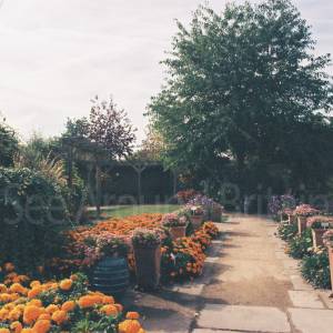 Photograph taken before 2009