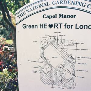 Photograph taken before 2009