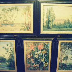 “taken before 2009”