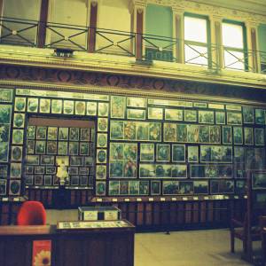 “taken before 2009”