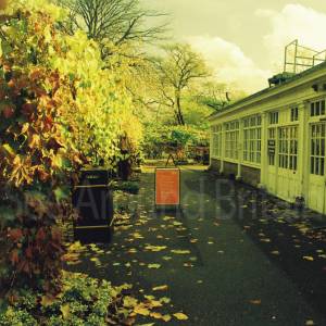 “taken before 2009”