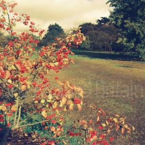 “taken before 2009”