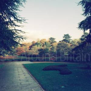 “taken before 2009”