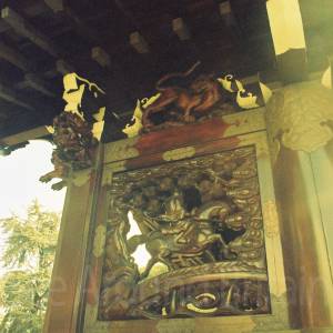 “taken before 2009”