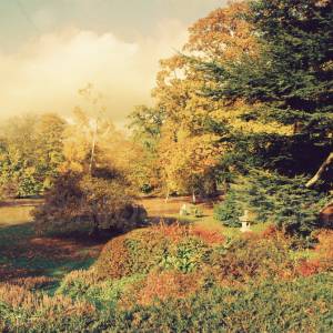 “taken before 2009”