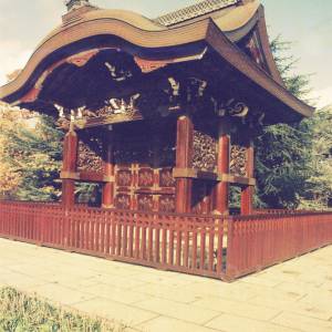 “taken before 2009”