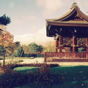 “taken before 2009”