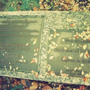 “taken before 2009”