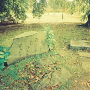 “taken before 2009”