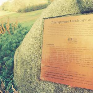 “taken before 2009”