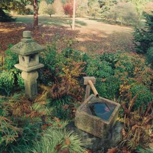 “taken before 2009”