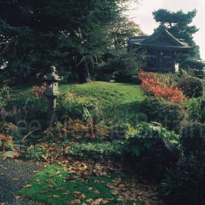 “taken before 2009”