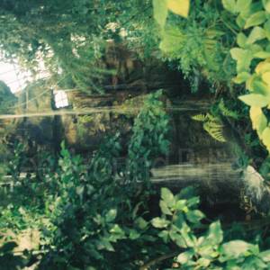 “taken before 2009”