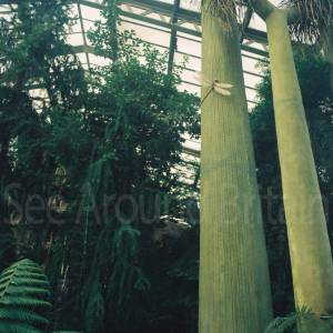 “taken before 2009”