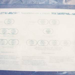 “taken before 2009”