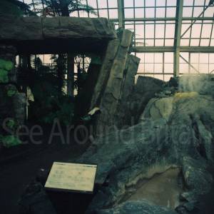 “taken before 2009”