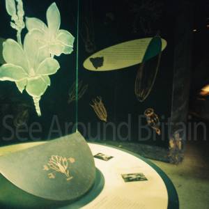 “taken before 2009”